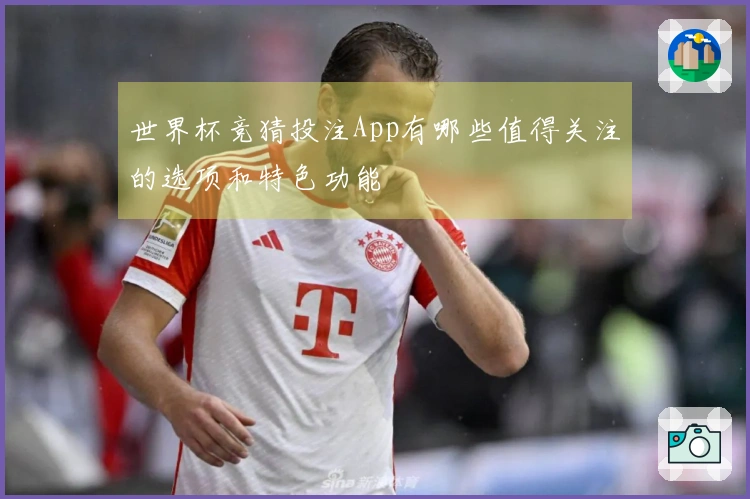 世界杯竞猜投注App有哪些值得关注的选项和特色功能