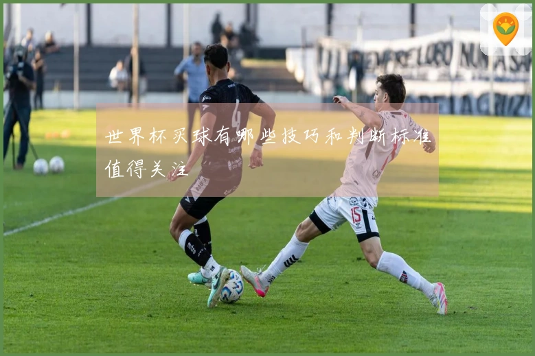 世界杯买球有哪些技巧和判断标准值得关注