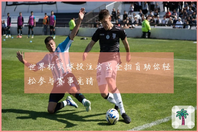世界杯买球投注方式全扫盲助你轻松参与赛事竞猜