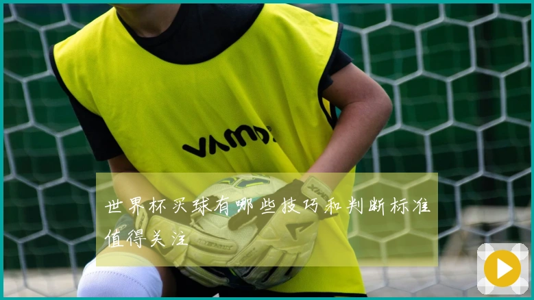 世界杯买球有哪些技巧和判断标准值得关注