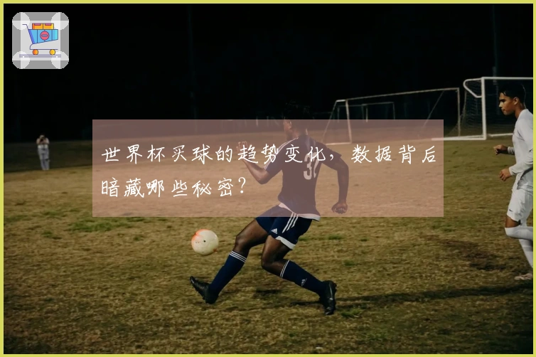 世界杯买球的趋势变化，数据背后暗藏哪些秘密？