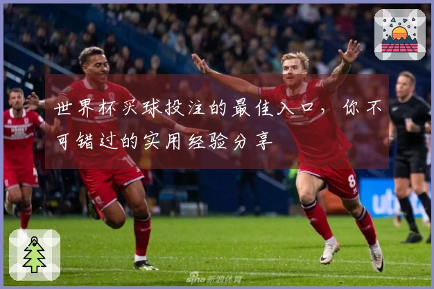 世界杯买球投注的最佳入口，你不可错过的实用经验分享