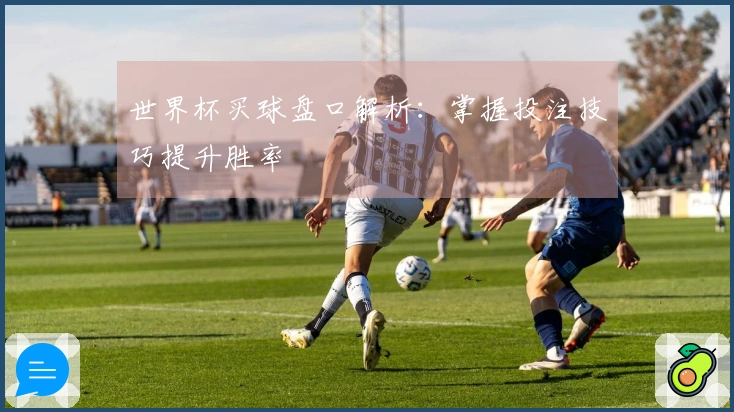 世界杯买球盘口解析：掌握投注技巧提升胜率