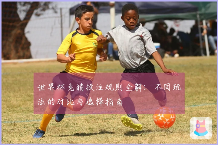 世界杯竞猜投注规则全解：不同玩法的对比与选择指南