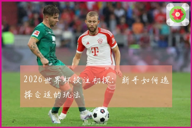 2026世界杯投注初探：新手如何选择合适的玩法