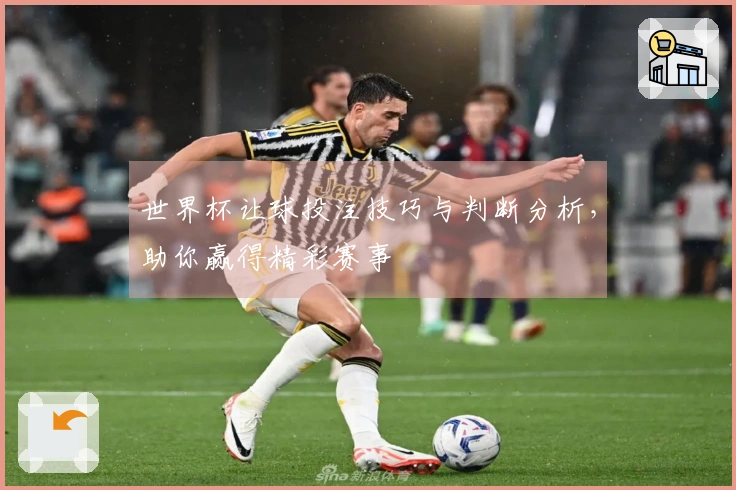 世界杯让球投注技巧与判断分析，助你赢得精彩赛事