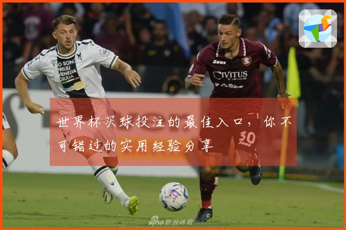 世界杯买球投注的最佳入口，你不可错过的实用经验分享