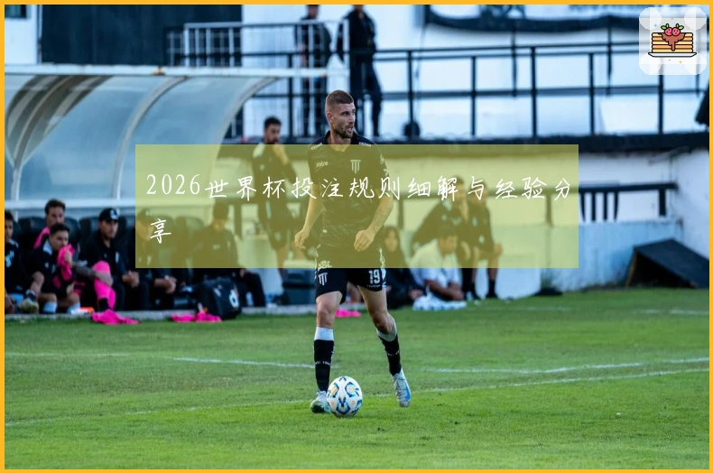 2026世界杯投注规则细解与经验分享